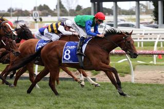 Reigning Underwood Stakes winner Bonneval (NZ).